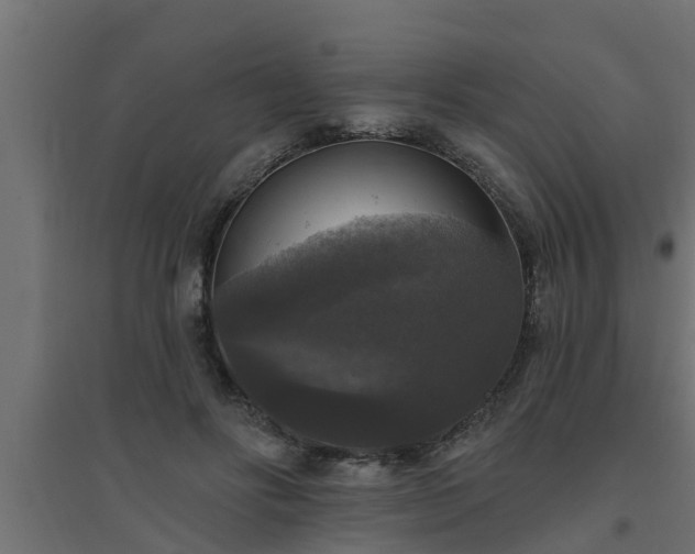 X0000094810502200711241449