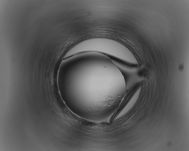 X0000094810504200711241449