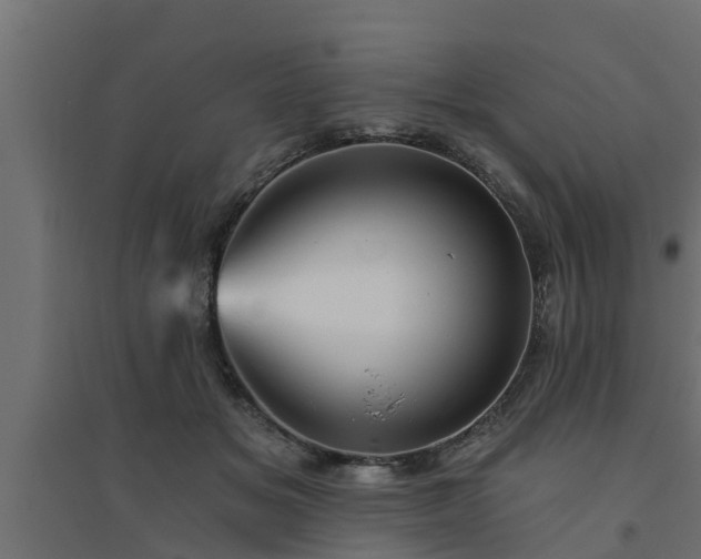 X0000094810509200711241449