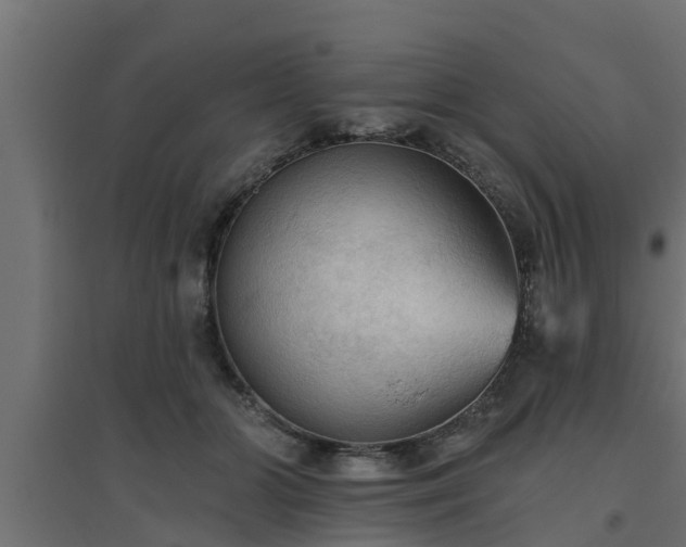 X0000094810510200711241449