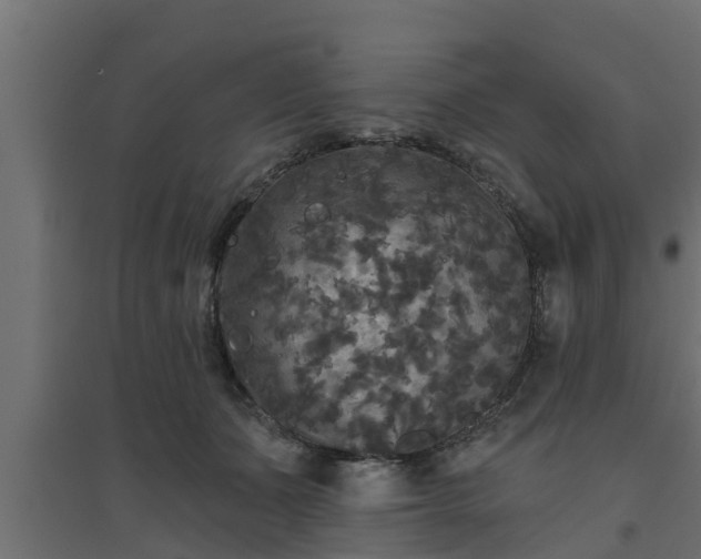 X0000094810511200711241449