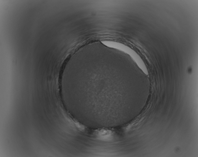 X0000094810512200711241449