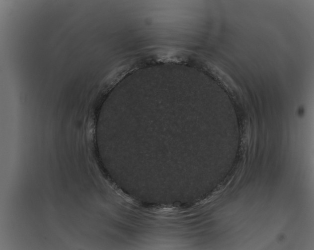 X0000094810513200711241449