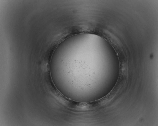 X0000094810514200711241449