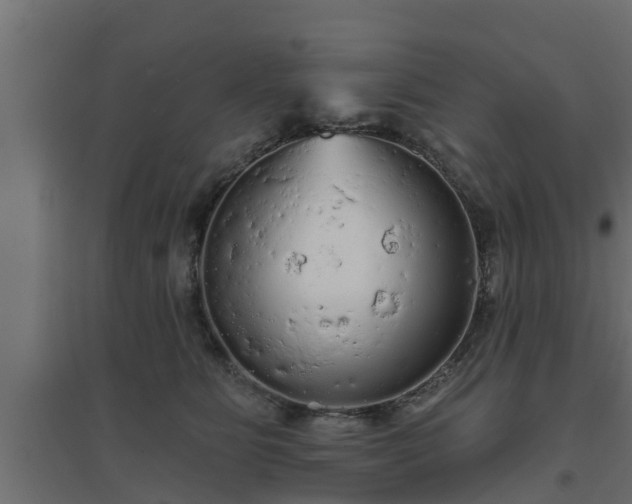 X0000094810515200711241449