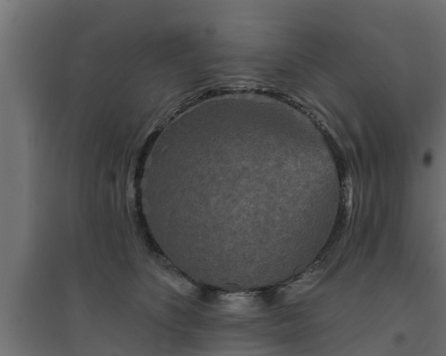 X0000094810516200711241449