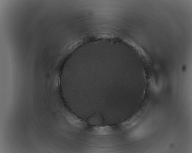 X0000094810517200711241449