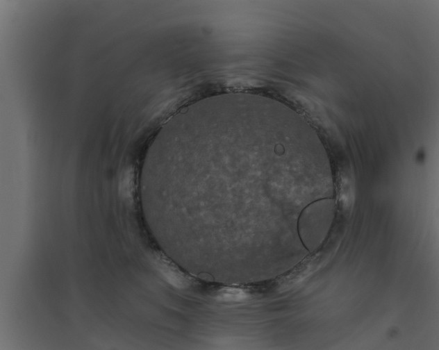 X0000094810519200711241449