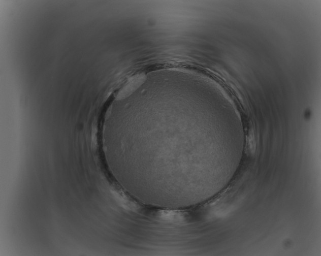 X0000094810520200711241449