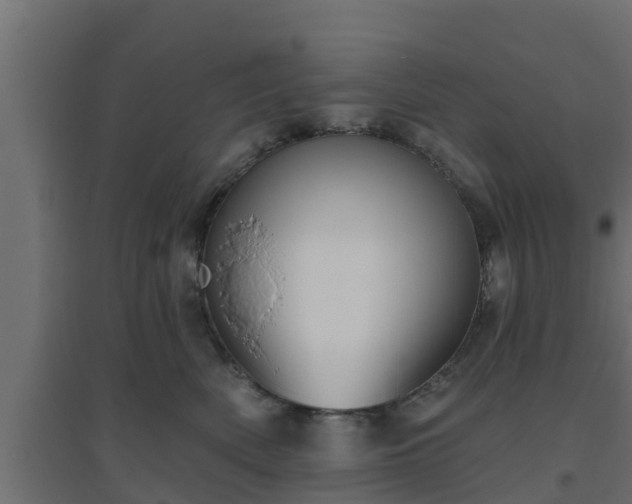 X0000094810522200711241449