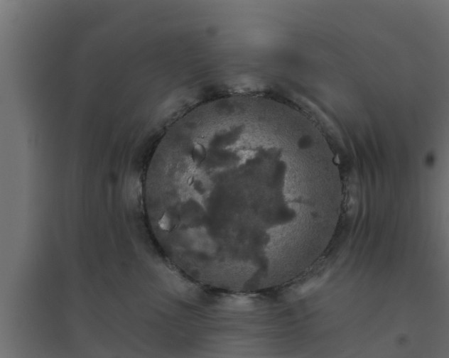 X0000094810523200711241449