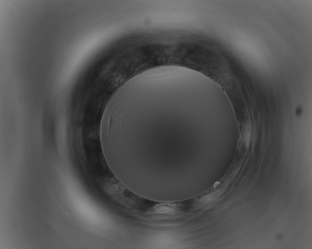 X0000094810526200711241448