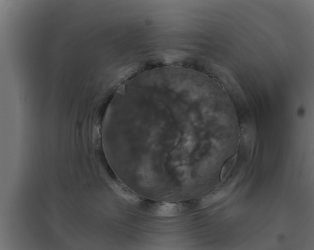 X0000094810527200711241448