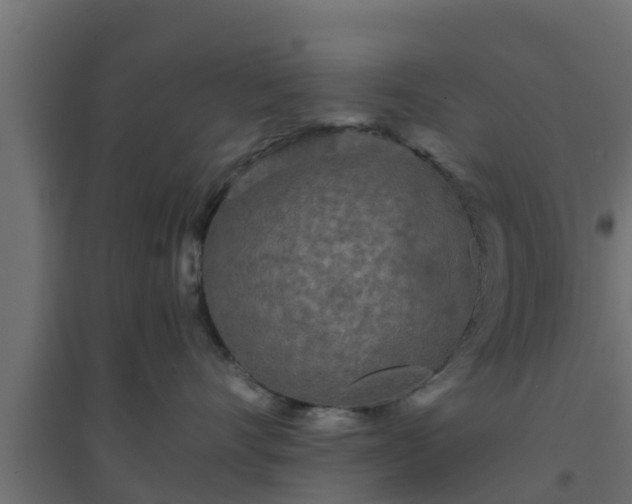 X0000094810528200711241448