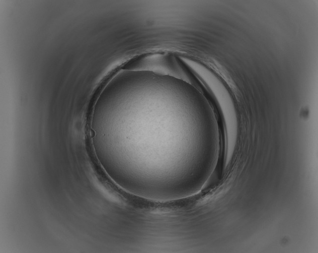 X0000094810530200711241448