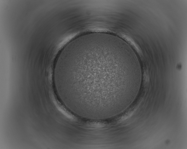 X0000094810533200711241448