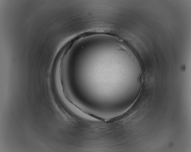 X0000094810536200711241448