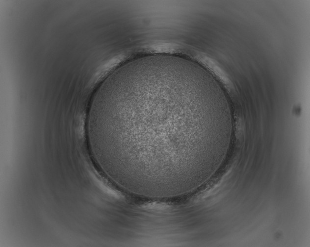 X0000094810537200711241448