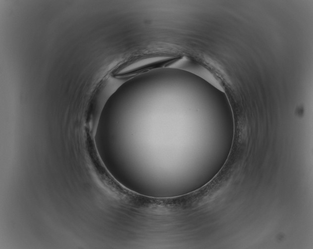 X0000094810538200711241448