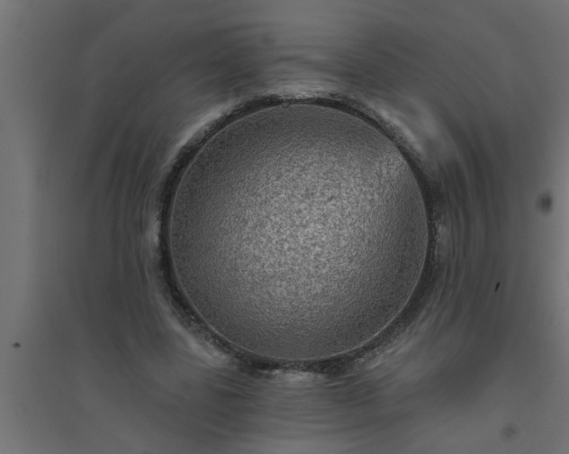 X0000094810539200711241448