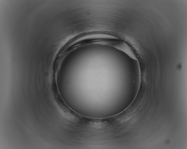 X0000094810540200711241448