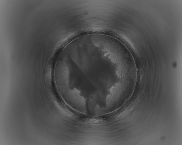 X0000094810542200711241448