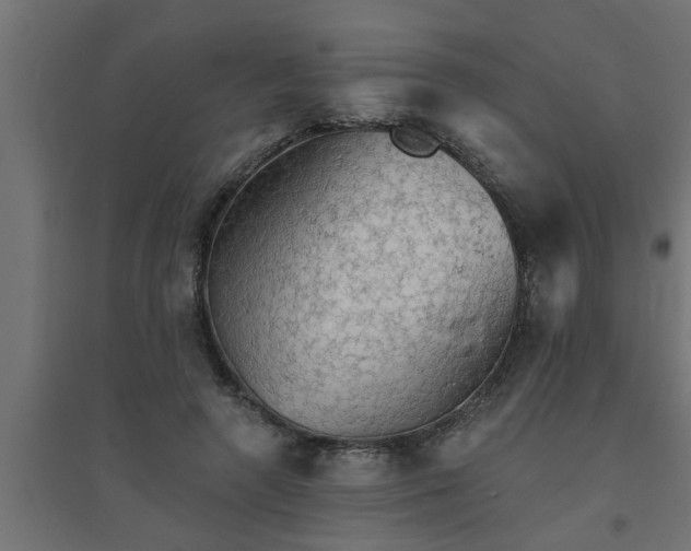 X0000094810546200711241448