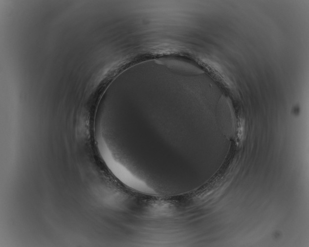 X0000094810547200711241448