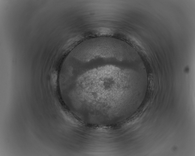 X0000094810550200711241448