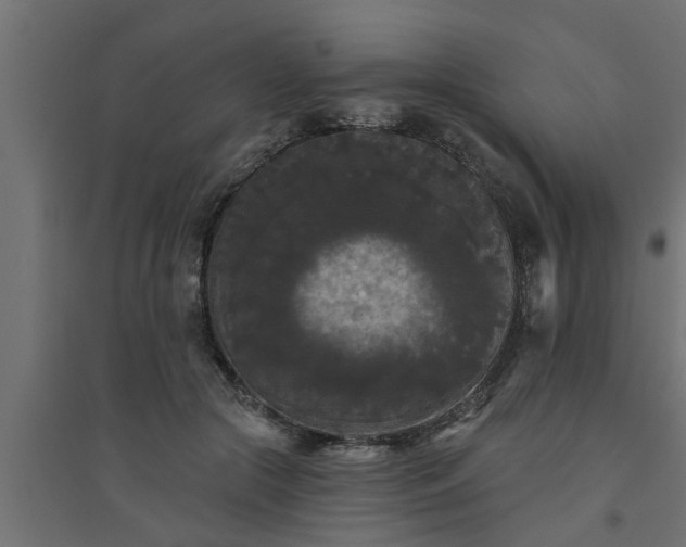 X0000094810553200711241448