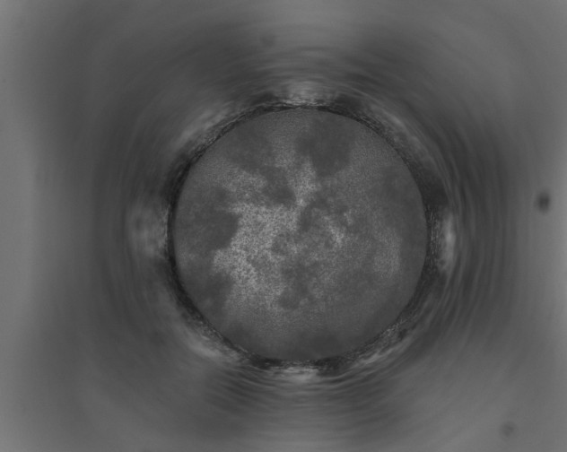 X0000094810554200711241448