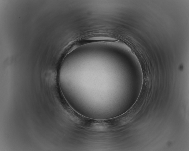 X0000094810556200711241448