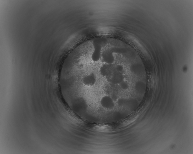 X0000094810557200711241448