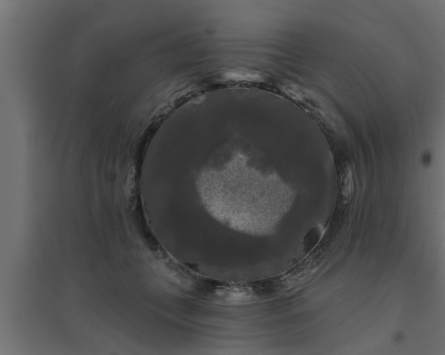 X0000094810559200711241448