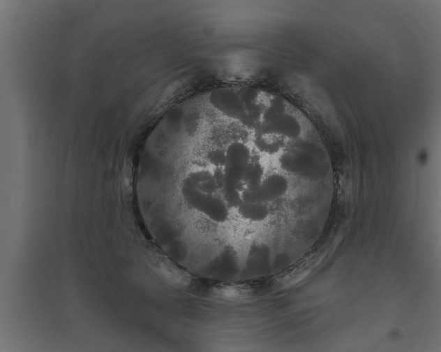 X0000094810561200711241448