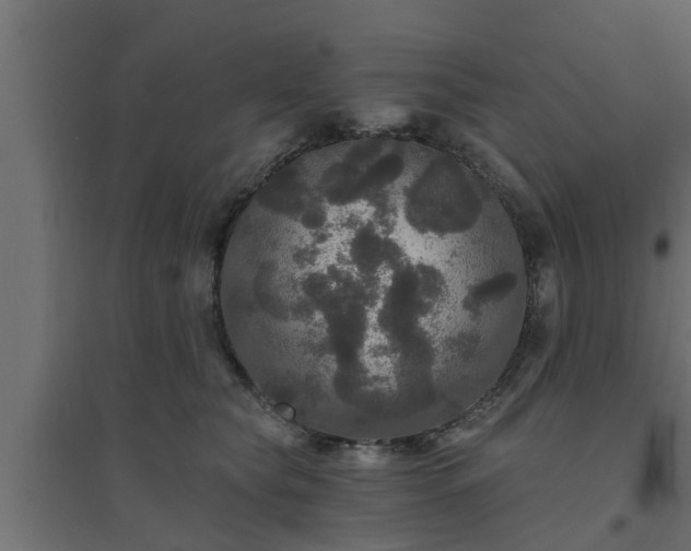 X0000094810565200711241448