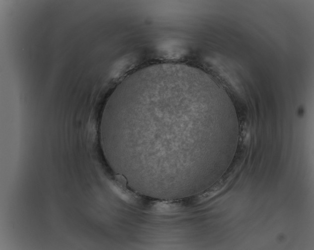 X0000094810568200711241448