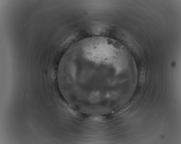 X0000094810569200711241448