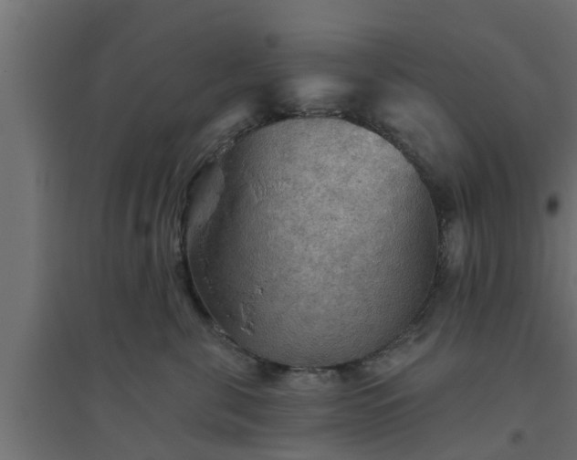 X0000094810571200711241448