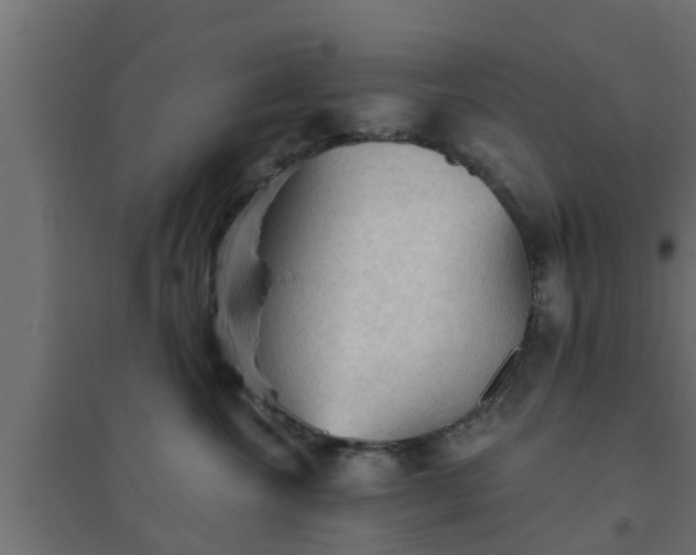 X0000094810572200711241448