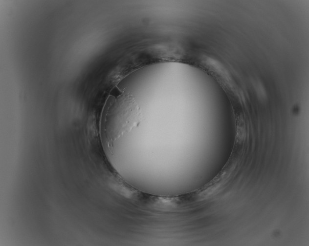 X0000094810573200711241448