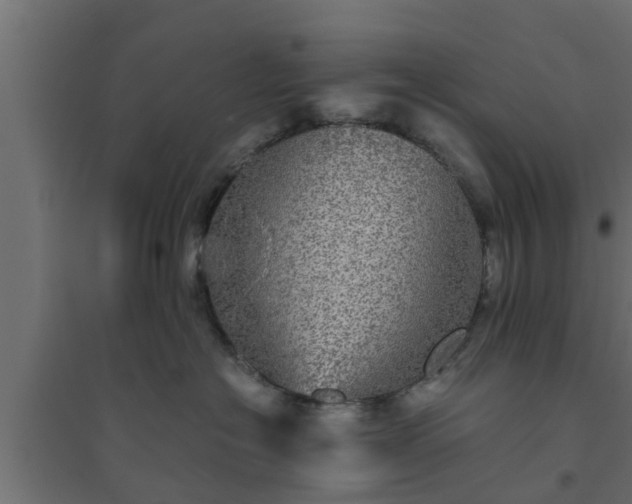 X0000094810574200711241448