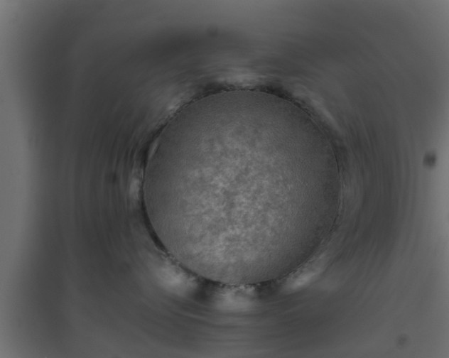 X0000094810576200711241448