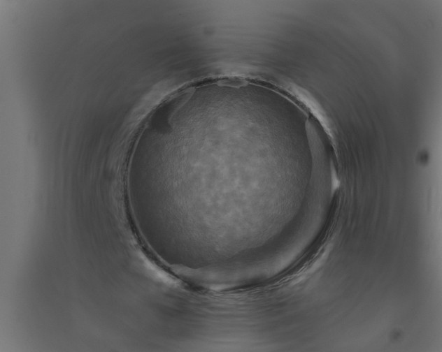 X0000094810577200711241448