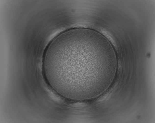 X0000094810578200711241448