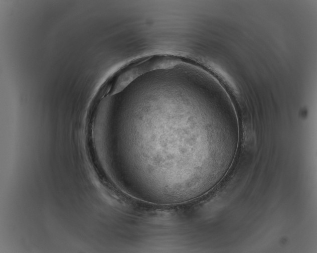 X0000094810580200711241448