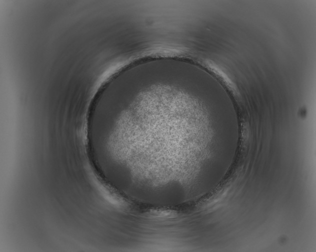 X0000094810582200711241448