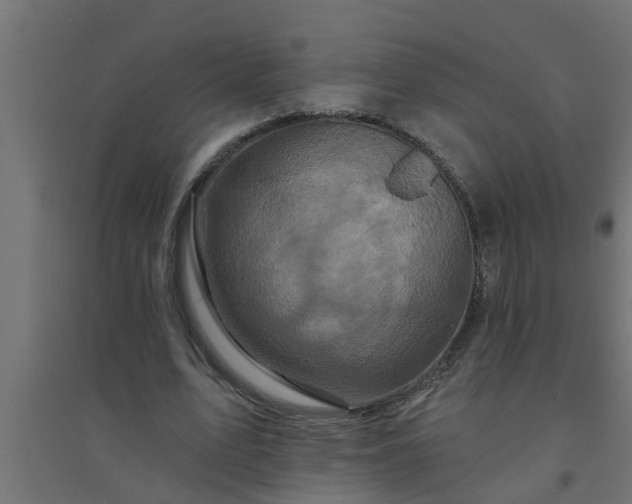 X0000094810583200711241448