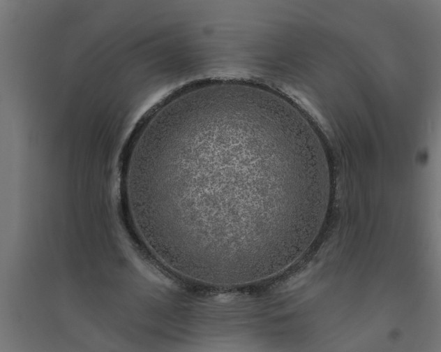 X0000094810584200711241448