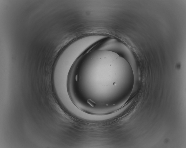 X0000094810585200711241448